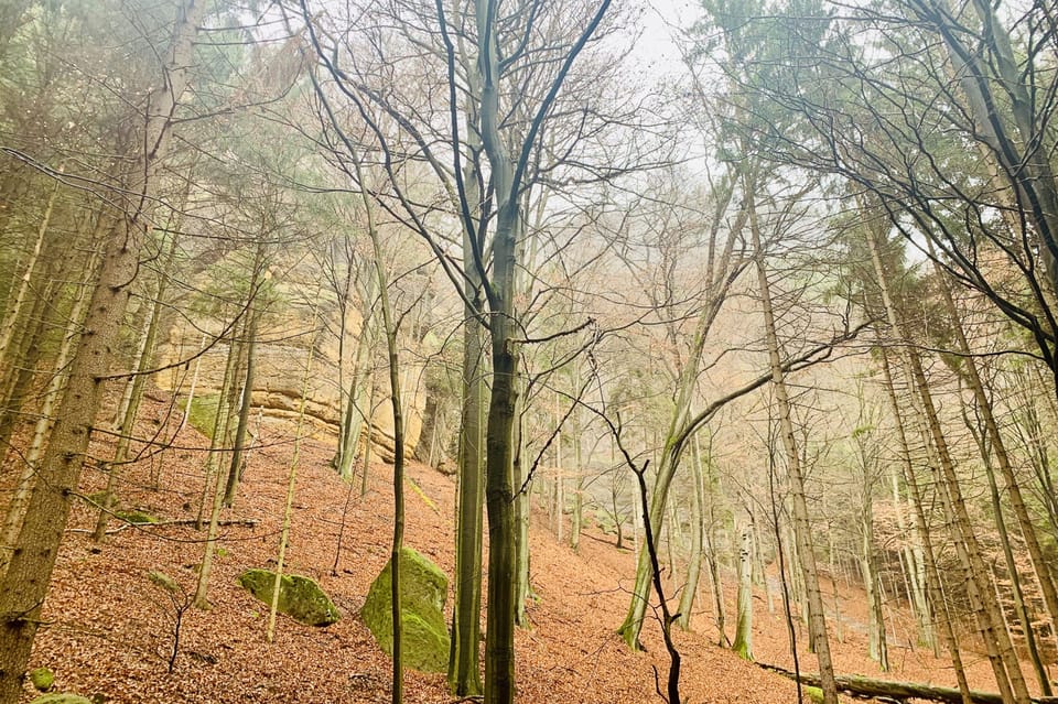 From Prague: Bohemian and Saxon Switzerland Full-Day Tour - Kamenice Gorge dinghy ride: the break that makes the day feel balanced