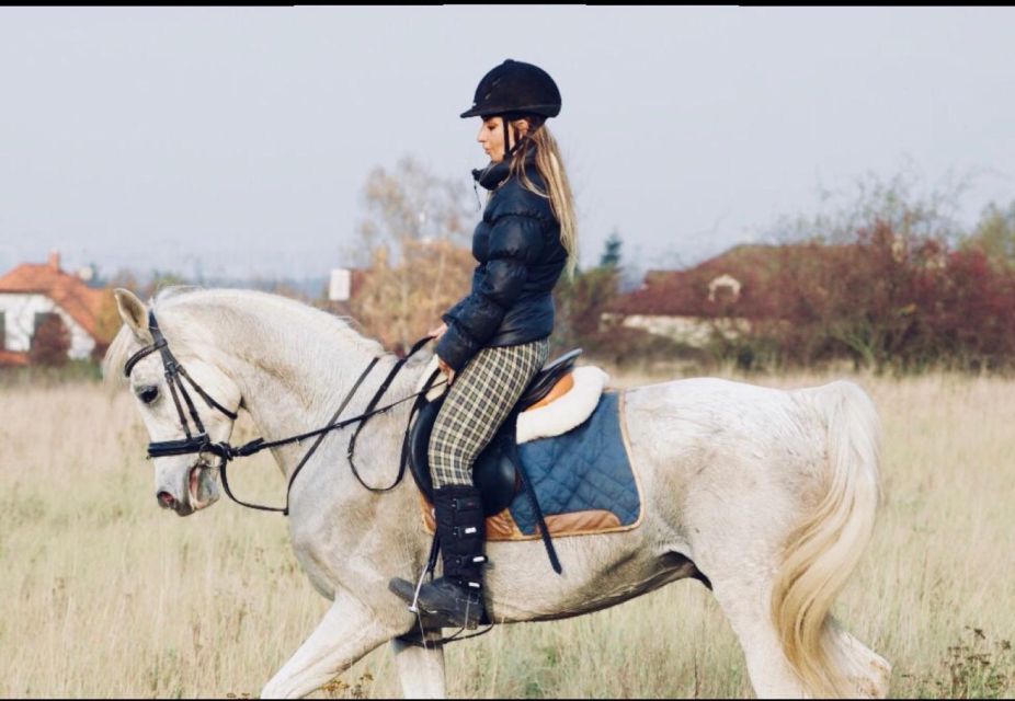 Horseback riding tour near Prague - Bitless, welfare-first riding that feels like partnership