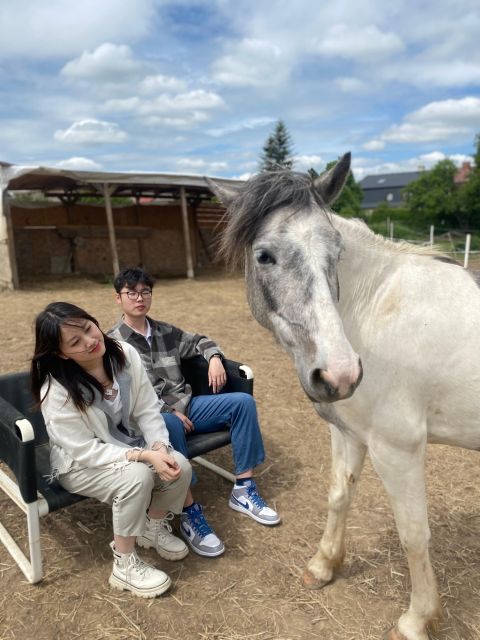 Horseback riding tour near Prague - How the countryside ride actually unfolds near Lucký mlýn