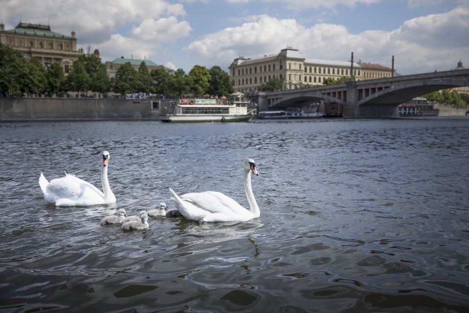 Prague: 3–Hour Castle Grounds Walking Tour and River Cruise - Inside the walls: St. Vitus Cathedral and St. George Basilica