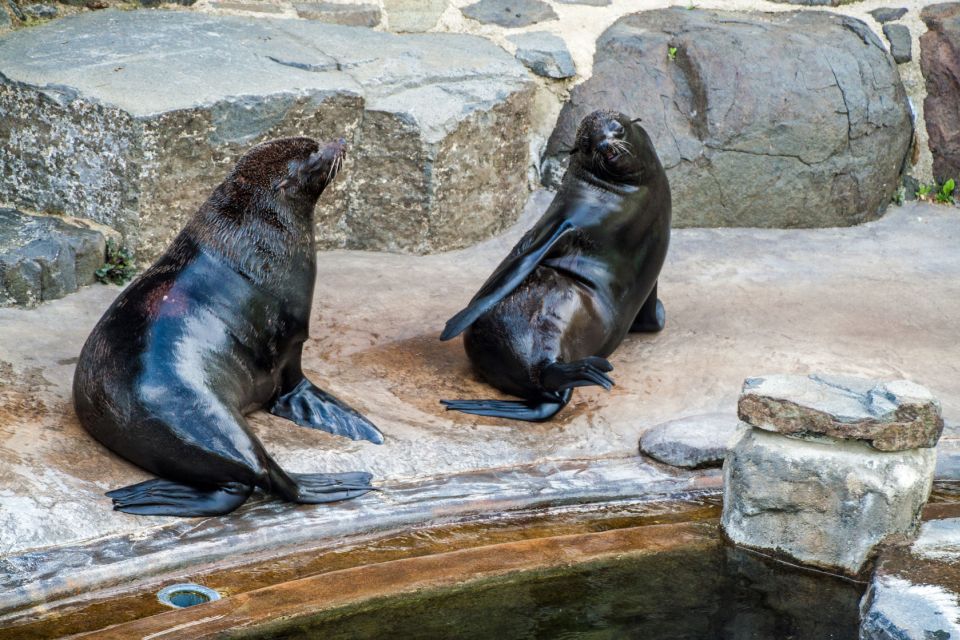 Prague: Boat Ride to the Zoo and Admission Ticket - The Vltava cruise turns a zoo trip into real sightseeing