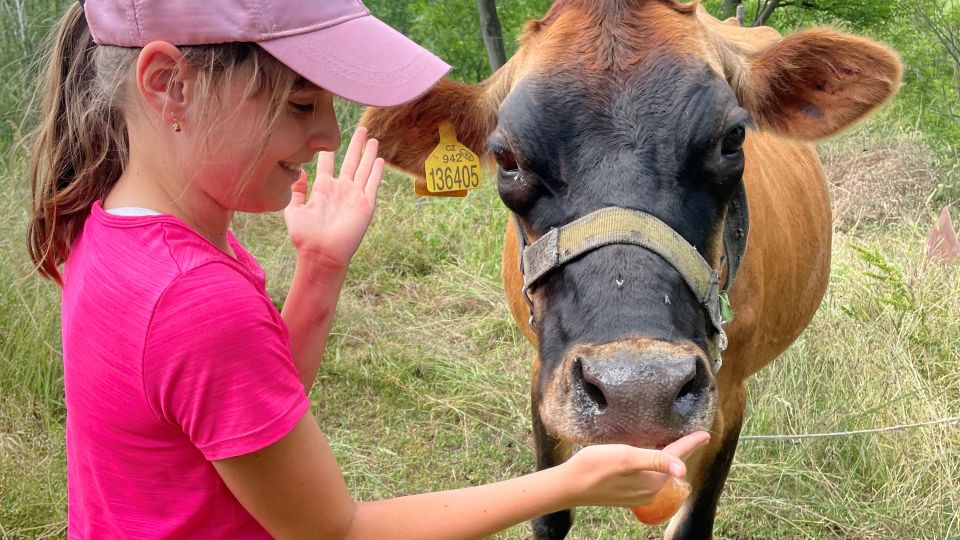 Prague: Bohemian Uplands Garnet Panning&Animal Farm 4WD Tour - Comfort, pace, and who this tour suits best