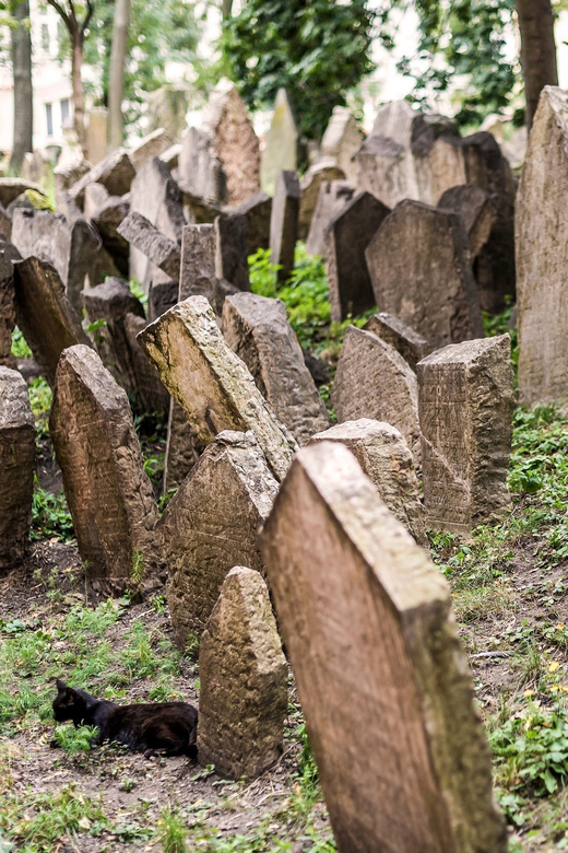 Prague: Jewish Quarter Walking Tour with Admission Tickets - Where you meet your guide (and how to not waste time)