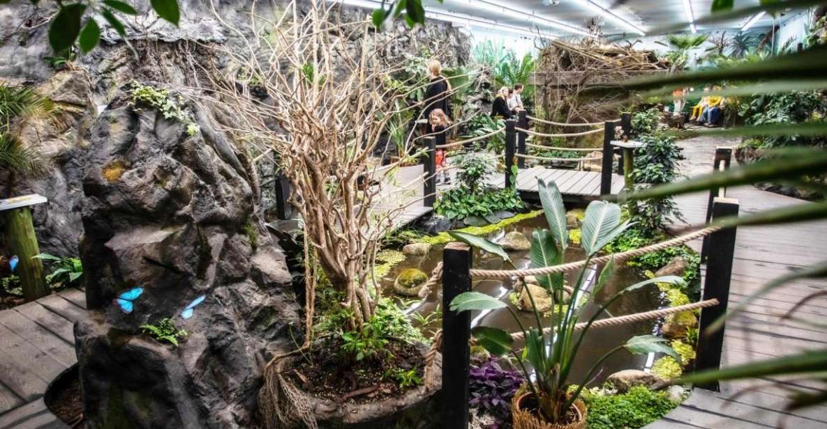 Prague: Papilonia Butterfly House - Why Papilonia feels like a tiny rainforest in the middle of Prague