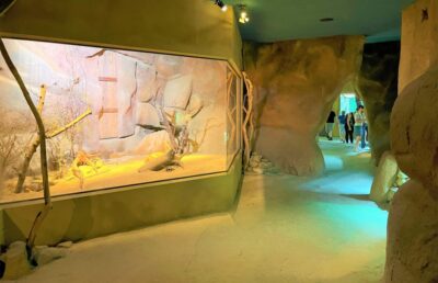 Prague: Prague Zoo Audio Guide with E-Ticket - Starting at U Trojského zámku 120/3: Your First Real Decision