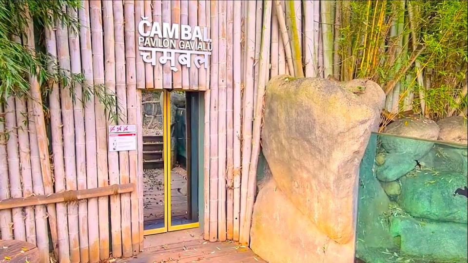 Prague: Prague Zoo Audio Guide with E-Ticket - Expect a Full Day: Pace Yourself Through Big Enclosures
