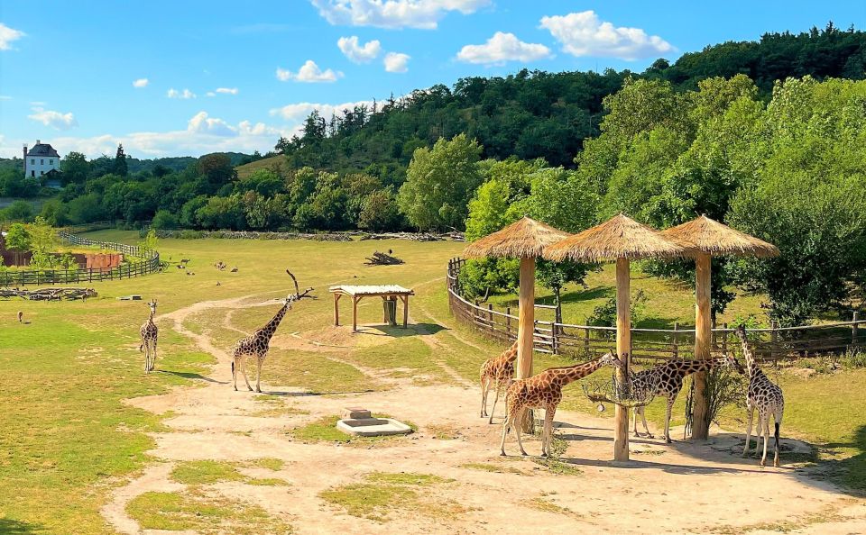 Prague: Prague Zoo Audio Guide with E-Ticket - Wheelchair-Friendly Planning (and What It Means in Real Life)