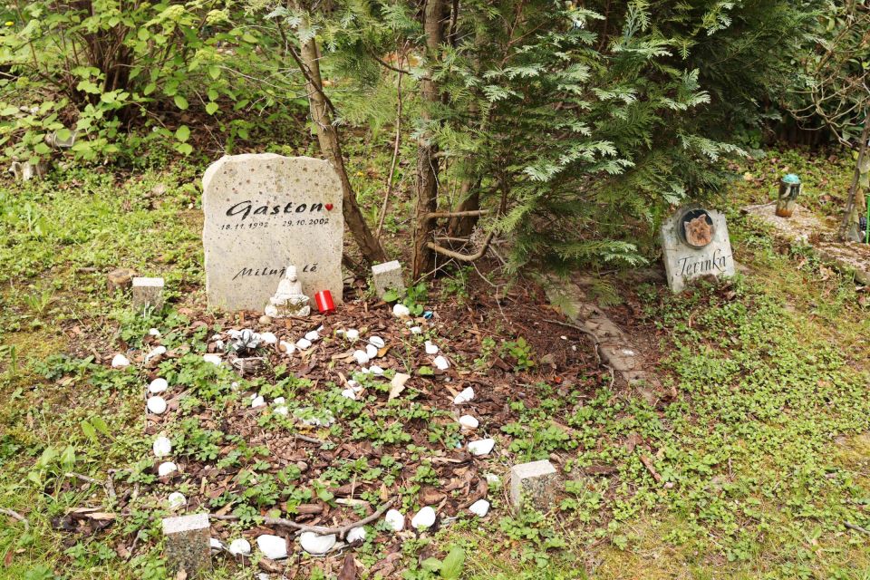 Prague: Psychiatric Hospital and Abandoned Cemetery Tour - Quick travel tips before you go