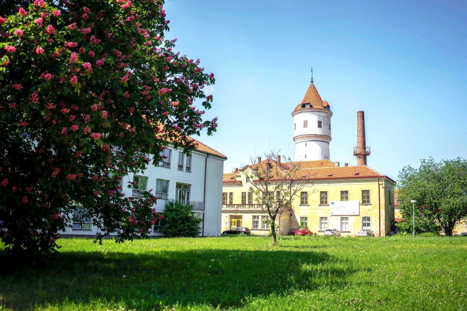 Prague: Psychiatric Hospital and Abandoned Cemetery Tour - The hospital tour: medieval ideas, lobotomies, and the Rosenham experiment