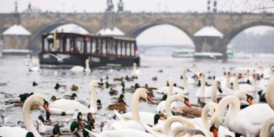 Prague: River Cruise, Charles Bridge Museum, & Walking Tour - The 45-minute walking tour: Charles Bridge, Lennon Wall, and Lesser Town stories