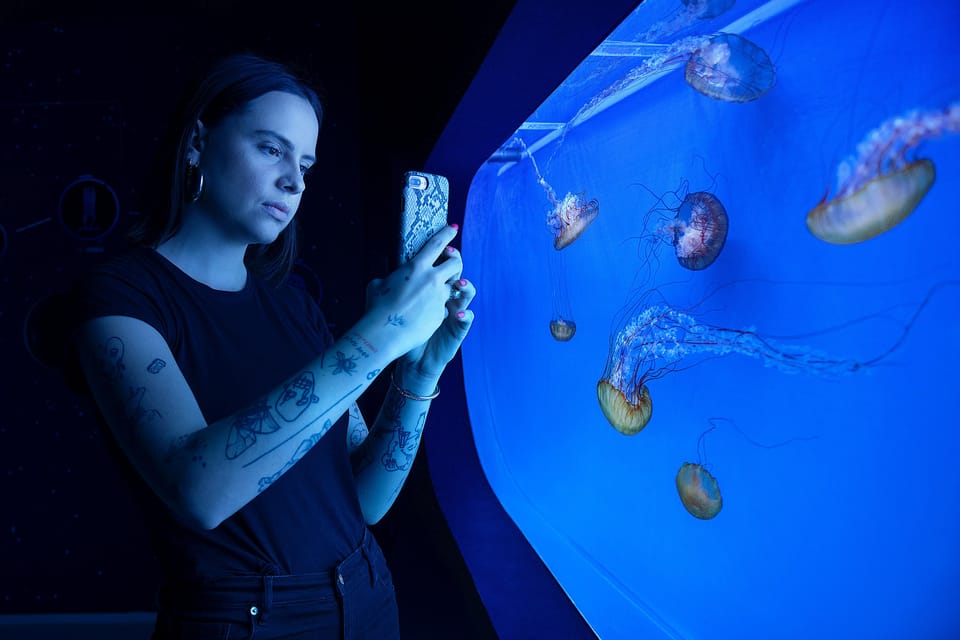 Prague: The World Of Jellyfish Entry Ticket w/ Drink - The Show Part: Video Mapping and Audiovisual Effects