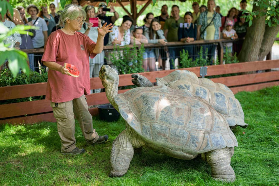 Prague Zoo: Skip-the-Line Entry Ticket - Hours and timing: how to choose the best day window