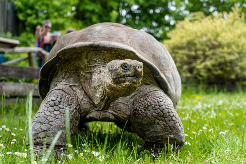 Prague Zoo: Skip-the-Line Entry Ticket - A practical way to pace your self-guided “zoo route”