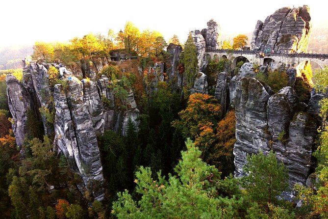 Terezin & Bohemian Switzerland from Prague: Bastei, Narnia & Café - Lunch in the Woods: Where the Food Feels Like Part of the Day